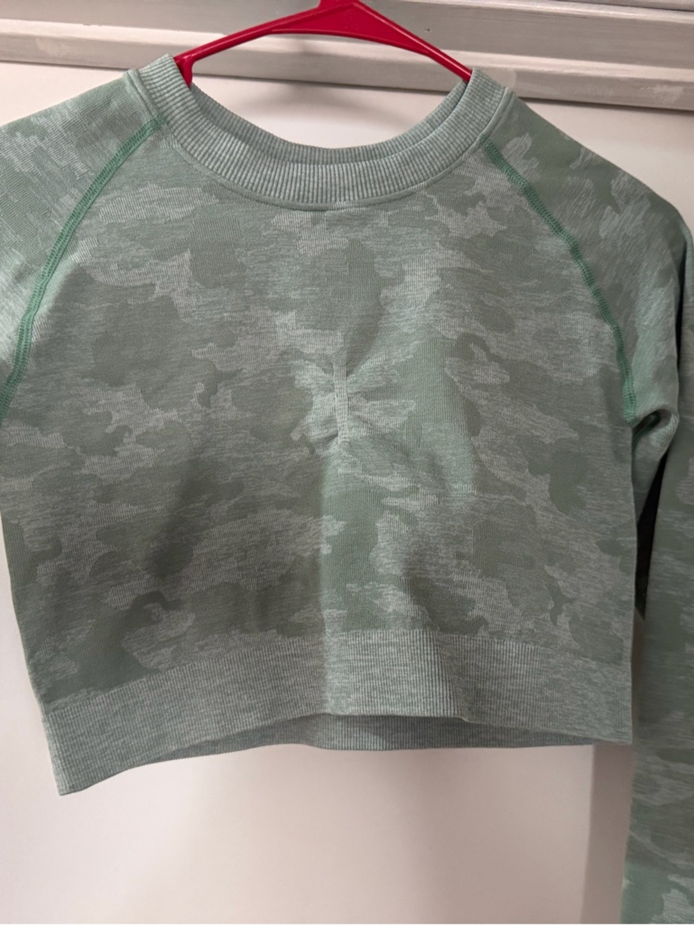 Women's Cropped Crew Sweatshirt in Sage Green